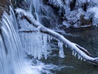 Eisformationen an Ast bei Kaskade im Lochgrabenbach in Aschau